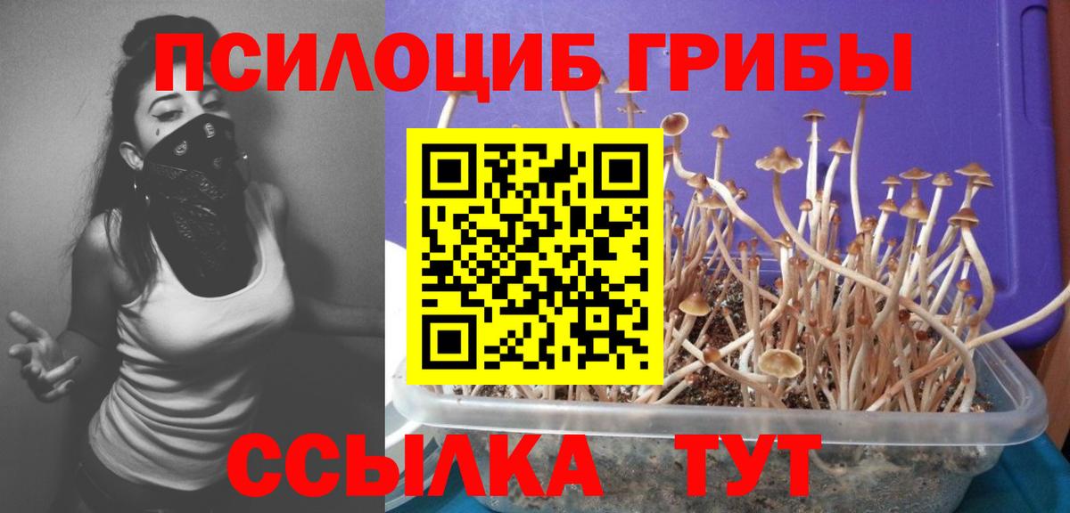 Псилоцибиновые грибы мицелий Салехард